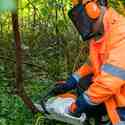 Medewerker groenvoorziening