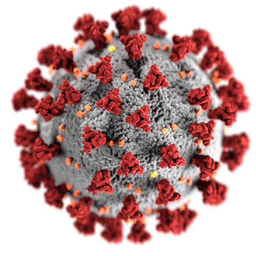 Koronawirus – gdzie szukać informacji?