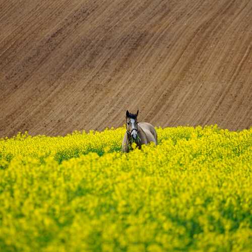 Magazijnmedewerker Tuinhout