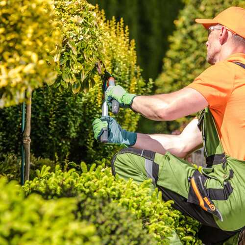 Ассистент садовника